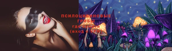 ECSTASY Богородицк