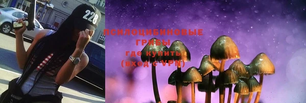 не бодяженный Богданович