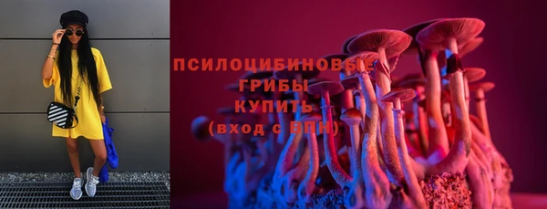 ECSTASY Богородицк