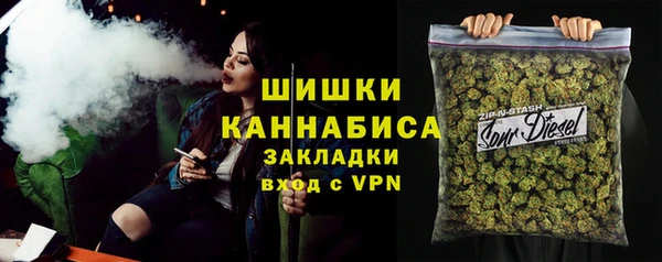 ECSTASY Богородицк