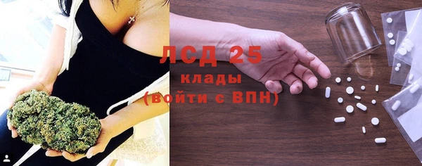 ECSTASY Богородицк